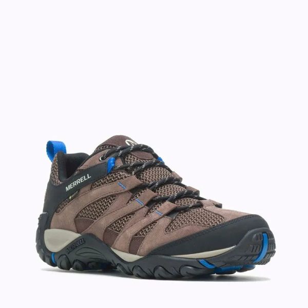 Alverstone GTX - Men Discount