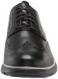 ZeroGrand Omni Wingtip Oxford Derby - Men s Cheap