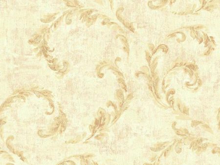 York NV6057 Baton Rouge Vintage Scroll Wallpaper Online Sale