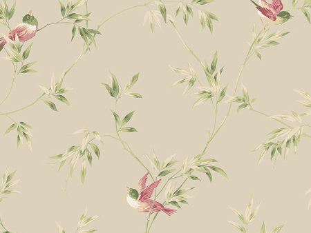 York YV8937 Ashford House Blooms Songbirds Wallpaper Hot on Sale