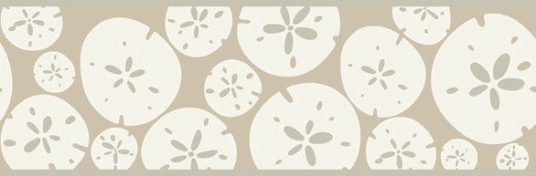 York Wallpaper KB8548B Bistro 750 Sand Dollar Border Online Sale