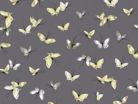 York WB5476 Botanical Fantasy Butterflies Wallpaper Cheap