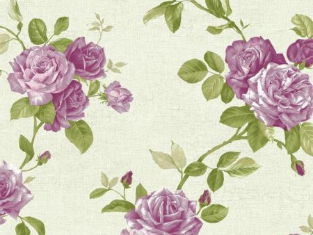 York Wallpaper PN0474 Rose Trail Online Sale