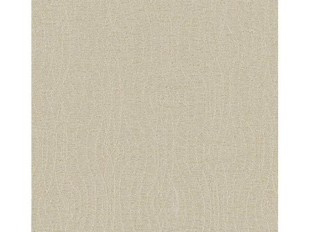 York RRD0618N Beige Book Teatro Wallpaper Supply