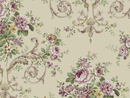 York Wallpaper PN0400 Neoclassic Floral Cheap