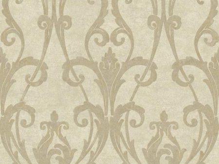 York TG1905 Beige Book Ogee Damask Wallpaper For Cheap