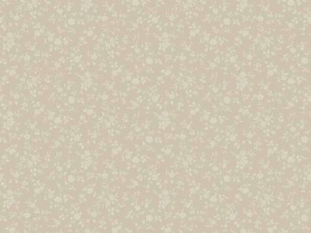 York GP7331 Keepsake One Color Trail Wallpaper Online Hot Sale