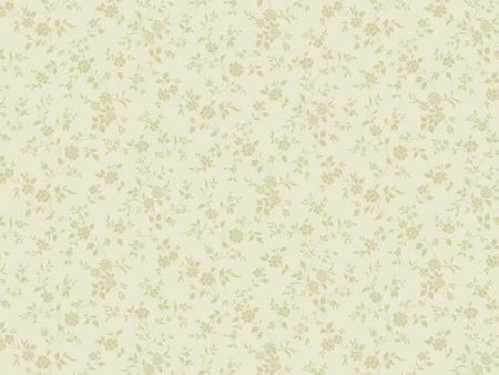 York Wallpaper PN0538 One Color Trail Discount