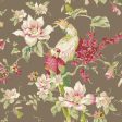 York Wallpaper YV9031 Ashford House Blooms  Tropical Birds with Magnolias Online Sale