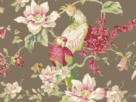 York Wallpaper YV9031 Ashford House Blooms  Tropical Birds with Magnolias Online Sale