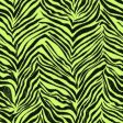 York KS2297 Cool Kids Ikat Zebra Wallpaper Sale