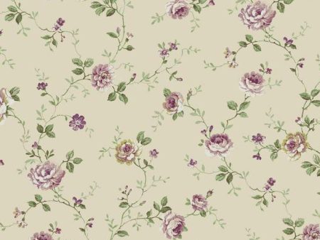 York Wallpaper PN0408 Small Floral Trail Online