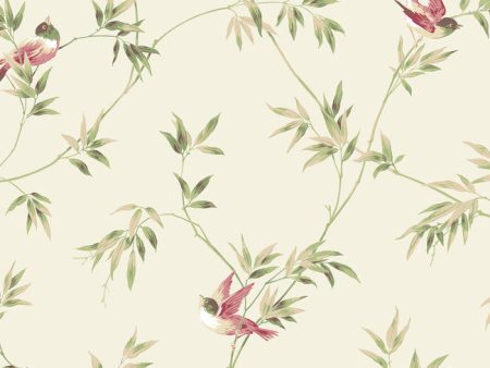 York YV8935 Ashford House Blooms Songbirds Wallpaper For Sale