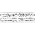 York Wallpaper KW7565BD Border Portfolio II Musical Note Border Fashion