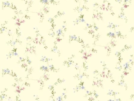 York SM8581 Blue Book Document Vine Wallpaper Fashion