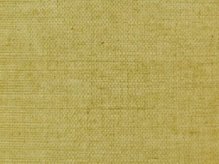 Clarence House Wallpaper 6863-12 Sisal Celery NC07 Fashion