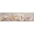 York Wallpaper AZ5203BD Border Portfolio II Shell Border Fashion