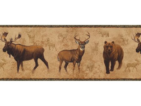 York Wallpaper NM6633B Border Portfolio II North American Animals Border Hot on Sale