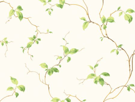 York NH6022 Casabella Leaves Wallpaper Online now