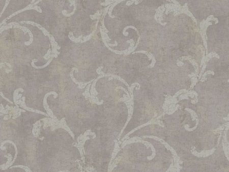 York Wallpaper 255903 Penelope Supply