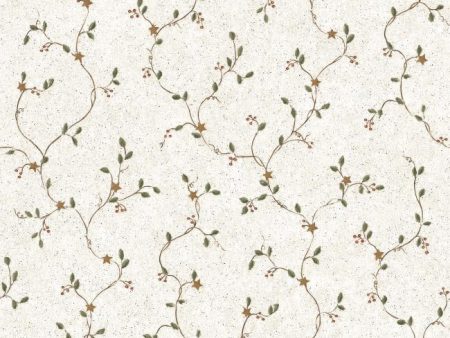 York PC4129 Folk Heart II Mini Star Vine Wallpaper Online