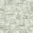 York LM7987 Country Book Birch Bark Wallpaper Hot on Sale