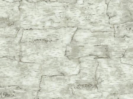 York LM7987 Country Book Birch Bark Wallpaper Hot on Sale