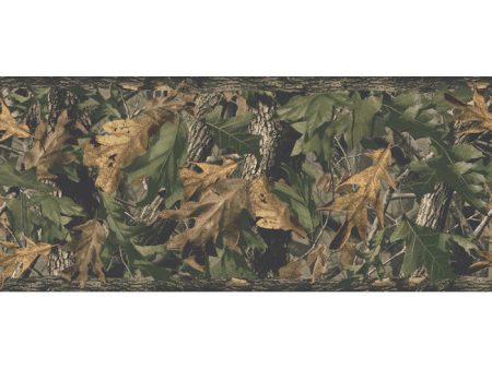 York Wallpaper JL1028B Border Portfolio II Hardwood Green Border For Discount