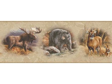 York Wallpaper WD4305B Border Book North American Animals Border on Sale