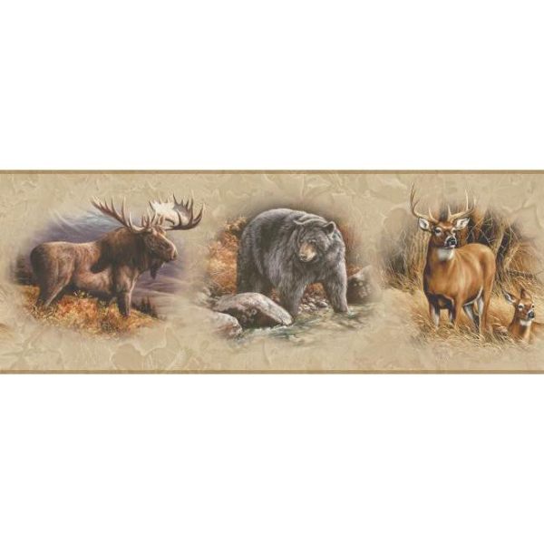 York Wallpaper WD4305B Border Book North American Animals Border on Sale