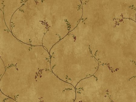 York YC3418 Welcome Home Small Vine W Berries Wallpaper For Sale