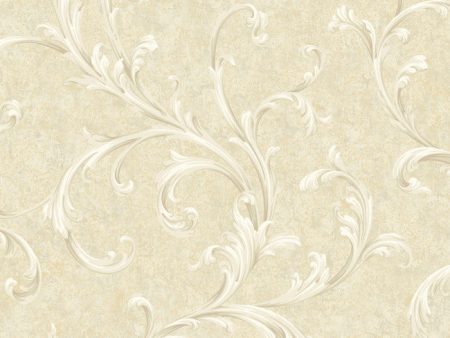 York RE9103 Vintage Patina Two Color Scroll Wallpaper Supply