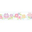 York Wallpaper KS2214BD Cool Kids Owl Branch Border For Sale