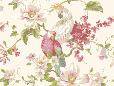 York Wallpaper AK7458 Ashford House Blooms Tropical Birds with Magnolias Sale