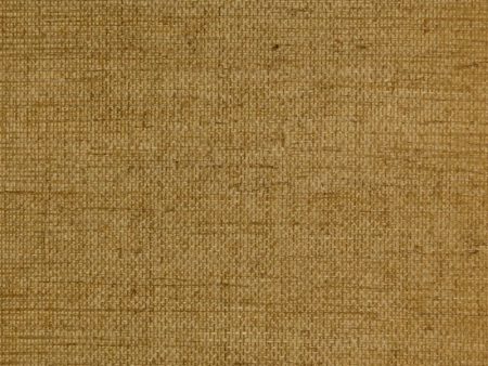 Clarence House Wallpaper 6863-11 Sisal Khaki NC07 For Discount