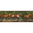 York Wallpaper WL5506B Border Portfolio II Running Horses Border Hot on Sale