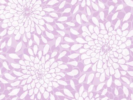 York KS2394 Cool Kids Toss The Bouquet Wallpaper Hot on Sale