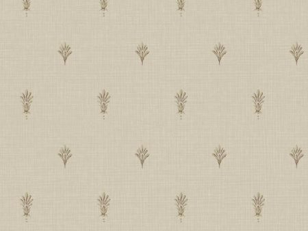 York Wallpaper PN0424 Neoclassic Spot Sale