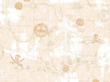 York ZB3106 Boys Will Be Boys Pirate Map Wallpaper For Discount