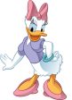 York Wallpaper RMK1513GMDK Disney Giant Daisy Duck Supply