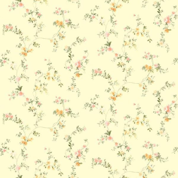 York SM8584 Orange & Yellow Book Document Vine Wallpaper For Discount