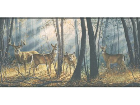 York Wallpaper WD4100B Border Portfolio II Woodland Splendor Border Online