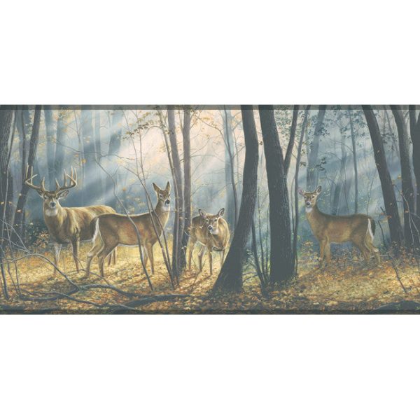 York Wallpaper WD4100B Border Portfolio II Woodland Splendor Border Online