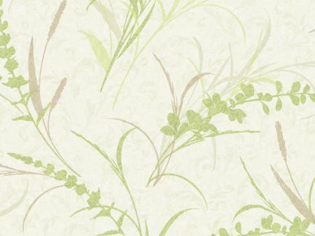 York WB5416 Botanical Fantasy Floral Branch Toss Wallpaper Online now