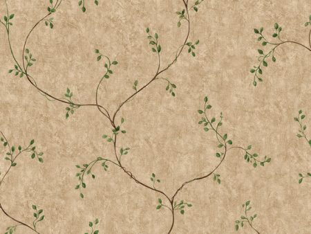 York YC3427 Welcome Home Angel Vine Wallpaper Cheap