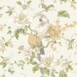 York Wallpaper AK7461 Ashford House Blooms Tropical Birds with Magnolias Online Hot Sale