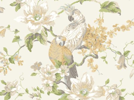 York Wallpaper AK7461 Ashford House Blooms Tropical Birds with Magnolias Online Hot Sale