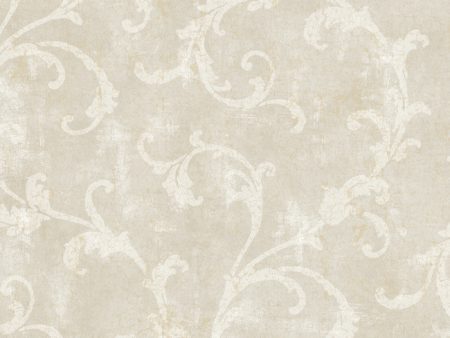 York Wallpaper 255866 Penelope Online now