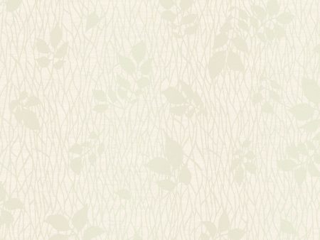 York LD7636 Jewel Box Willow Wallpaper Supply