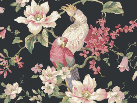 York Wallpaper AK7459 Ashford House Blooms Tropical Birds with Magnolias Cheap